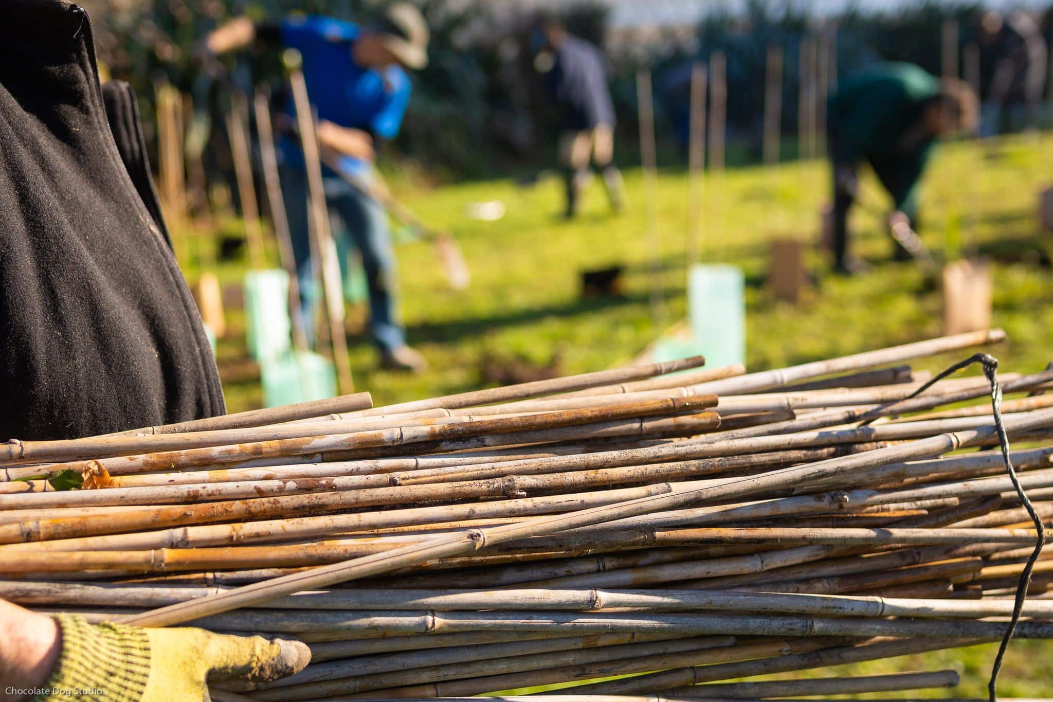 Close-up of bamboo stakes being carried while people in the background plant NZ native plants and trees