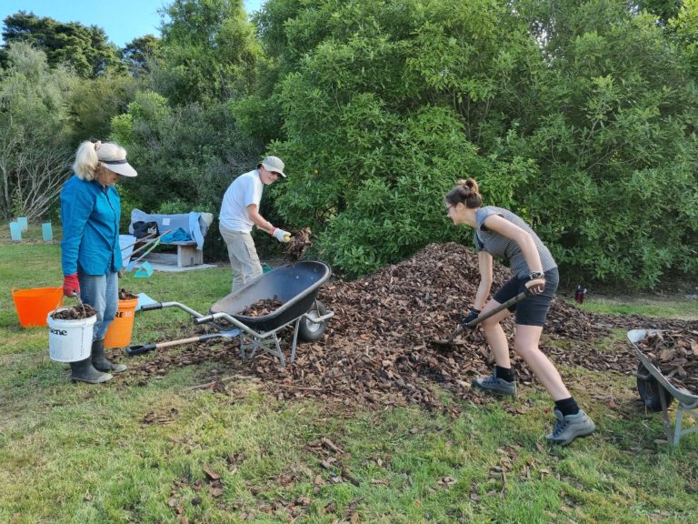 Snowden's-Bush_mulching