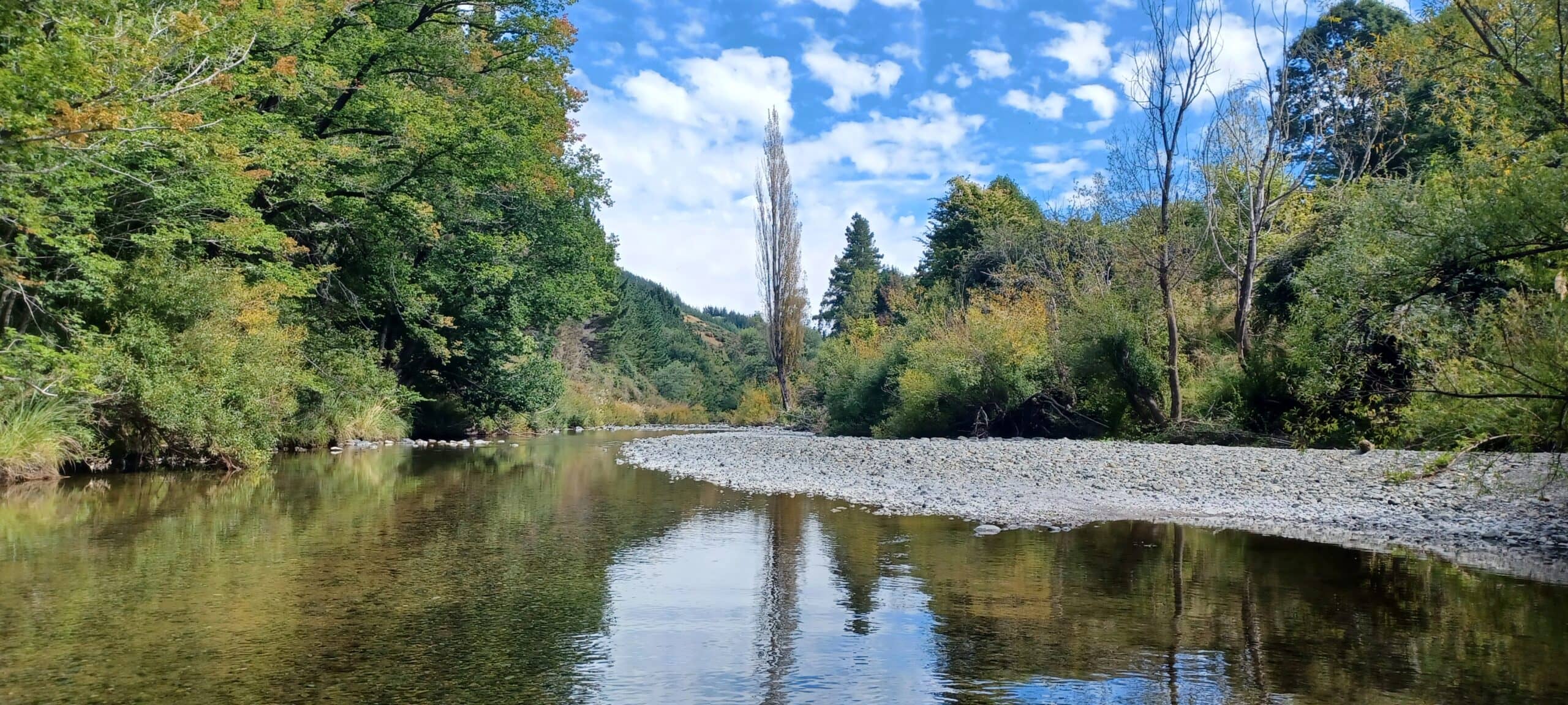 Roding River/Aniseed Valley Catchment Group – Tasman Environmental Trust