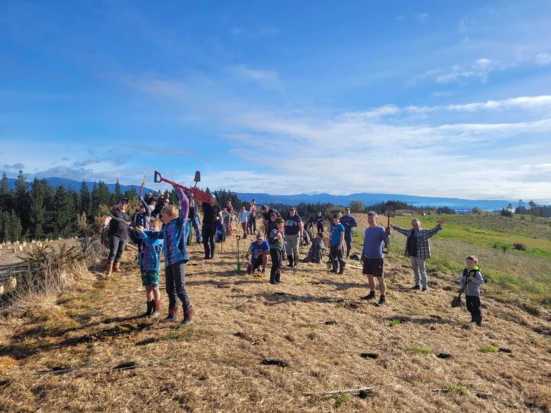 Planting celebration Te Mamaku